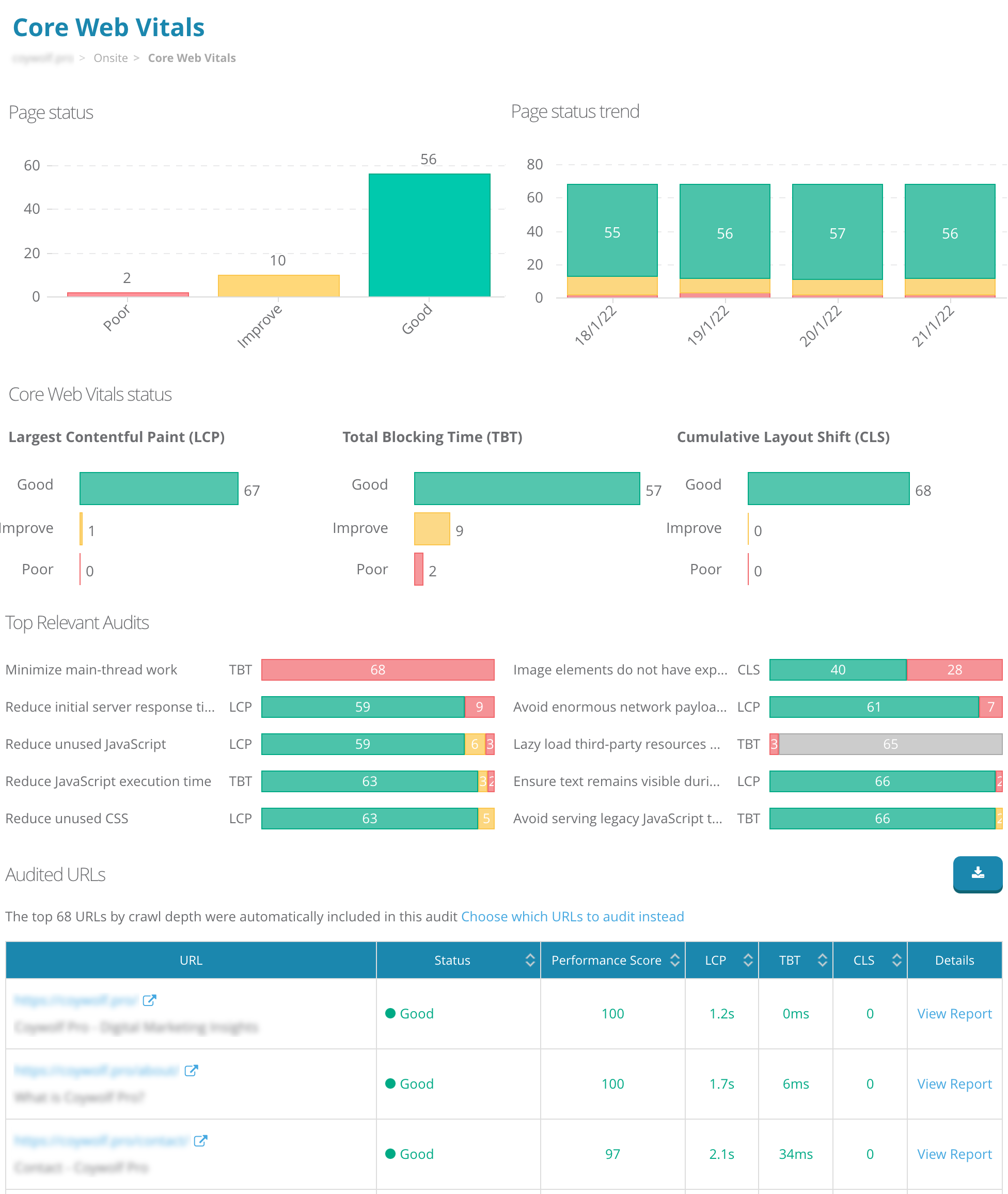 Core Web Vitals report in Dragon Metrics